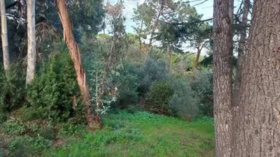 Chalet in Canet de Mar photo 4