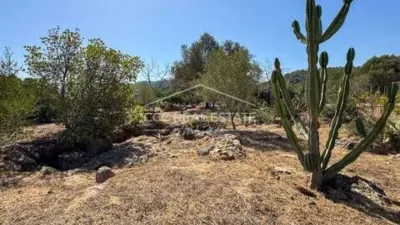 Rustic property in Capdepera photo 26