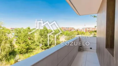 Apartment in Prado de Somosaguas photo 45