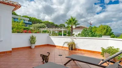 Chalet in Los Cerezos-La Mandarina-La Finca-Covatelles photo 51
