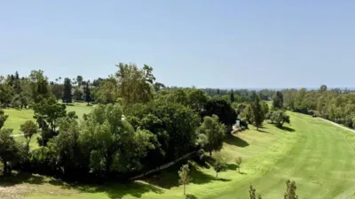 Penthouse in Carril Cortés photo 5