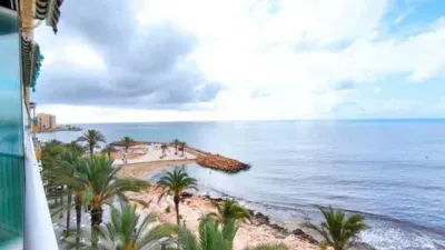 Pis – Torrevieja, El Palmeral, Serra de Tramuntana - Vista 3