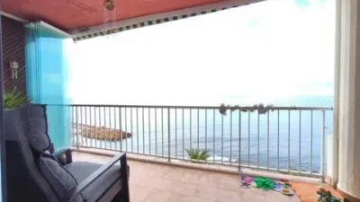 Pis – Torrevieja, El Palmeral, Serra de Tramuntana - Vista 5