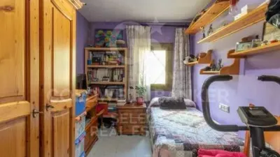 Chalet in La Floresta-Les Planes photo 5