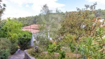 Chalet in La Floresta-Les Planes photo 6