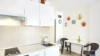 Apartment on Avenida Santiago Puig photo 4