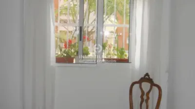 Pis – Elche/Elx, Pataes, el Baix Vinalopó - Vista 2