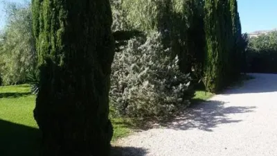 Casa - Vista 4