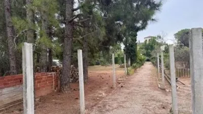 Chalet en calle Camino Vial No Number photo 52