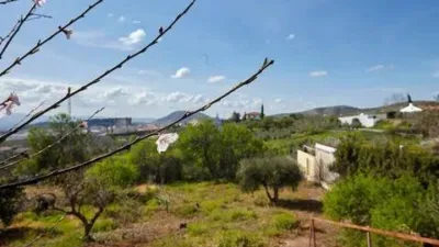 Chalet en Alcaudete photo 54