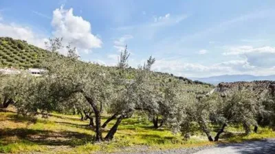 Chalet en Alcaudete photo 59