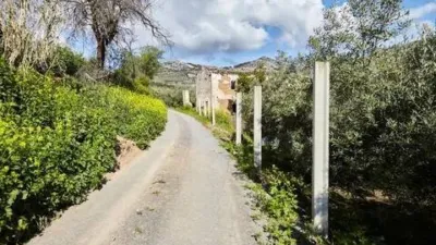 Chalet en Alcaudete photo 63