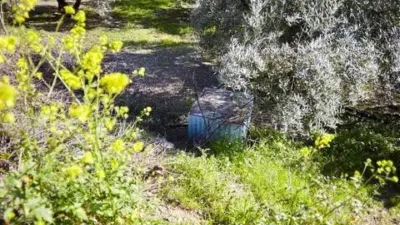 Chalet en Alcaudete photo 64
