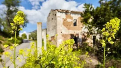Chalet en Alcaudete photo 65