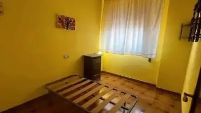 Apartment in Mancha Real photo 10