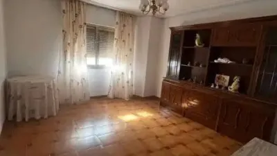 Apartment in Mancha Real photo 4