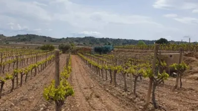 Terreno en venta en Monforte del Cid - Vista 2