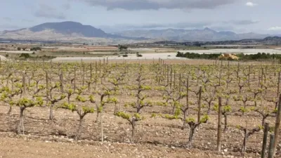 Terreno en venta en Monforte del Cid - Vista 3