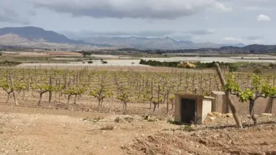 Terreno en venta en Monforte del Cid - Vista 4