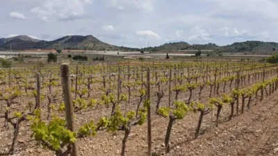 Terreno en venta en Monforte del Cid - Més