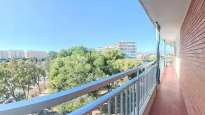 Apartment in Playa de San Juan photo 13