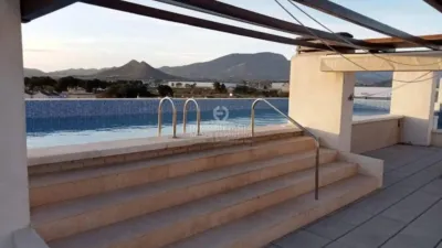 Piso – Monforte del Cid, Mujeres Deportistas - Más