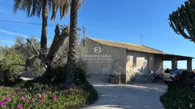 Casa – Elx - Elche - Vista 2