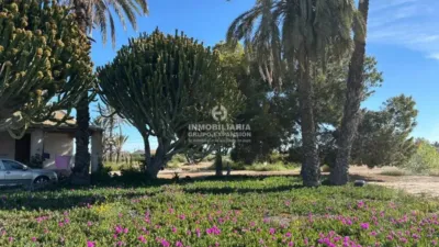 Casa – Elx - Elche - Vista 3