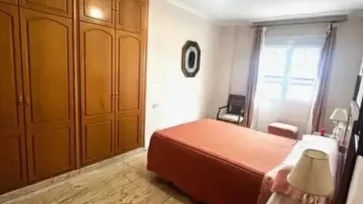 Apartment in Mancha Real photo 9