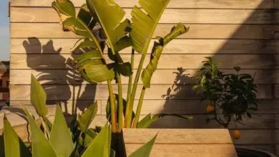 Ático en alquiler en El Barri Gòtic - Imagen 24