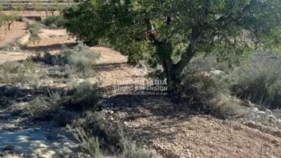 Terreno en venta en La Romana - Vista 5