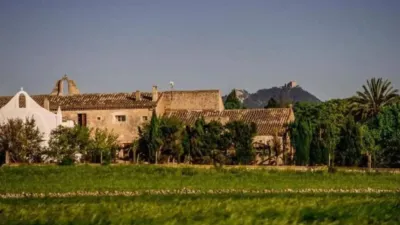 Rustic property in Felanitx photo 21