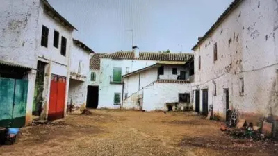 Miniatura 8