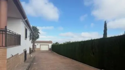 Rustic property in Mancha Real photo 2