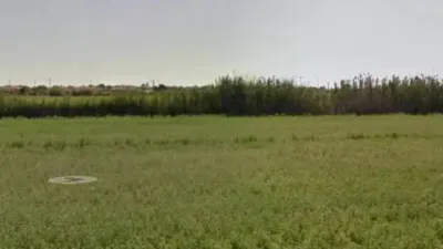 Terreno en venta en Catral - Vista 5