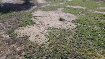 Terreno en venta en Monforte del Cid - Vista 2