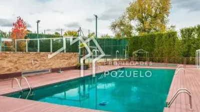 Chalet en Las Vegas-El Pozanco-Adelfillas photo 7