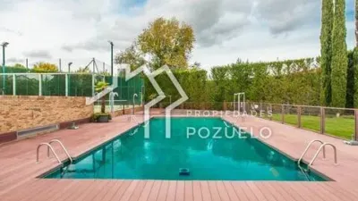 Chalet en Las Vegas-El Pozanco-Adelfillas photo 8