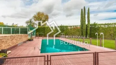Chalet en Las Vegas-El Pozanco-Adelfillas photo 9