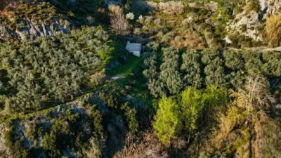 Rustic property in Canjáyar photo 2