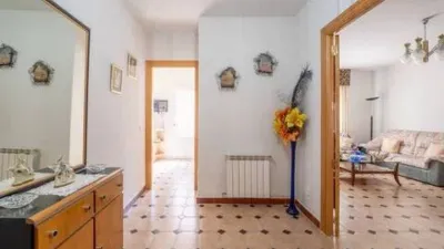 Miniatura 12