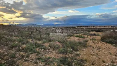 Terreno en venta en Monforte del Cid - Vista 5