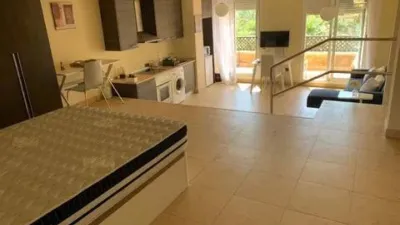Penthouse on Avenida de la Envia photo 6