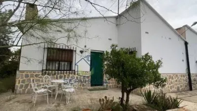 Chalet in Hellín photo 12