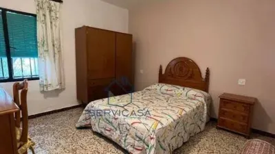 Chalet in Hellín photo 6