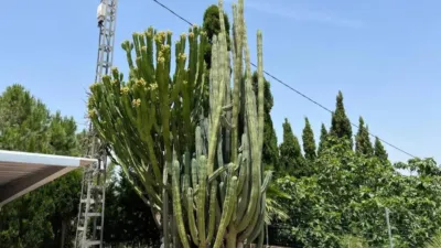 Casa - Más