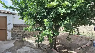 Chalet en venta en Calleja Charca, Brozas de 55.000 €
