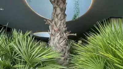 Piso en alquiler en Berruguete - Imagen 26
