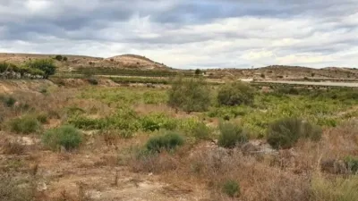 Terreno en venta en Aspe - Más