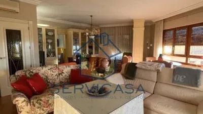 Apartment in Hellín photo 2